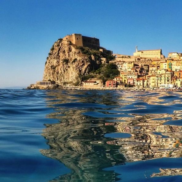 Scilla Scilla